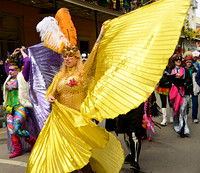 2015 Mardi Gras in New Orleans